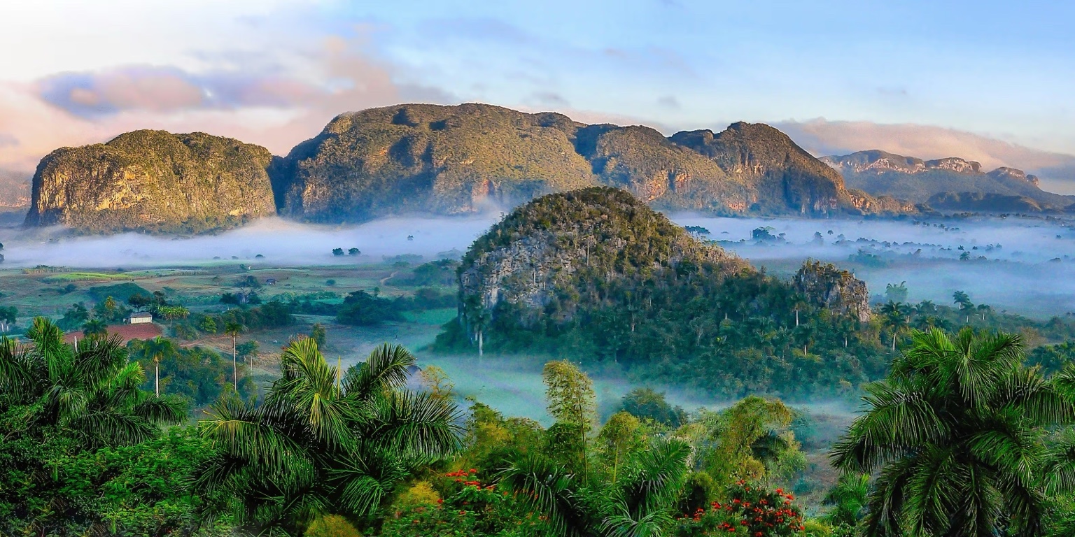 Paisaje de Cuba con mogotes, palmeras y un valle verde entre la niebla del amanecer.